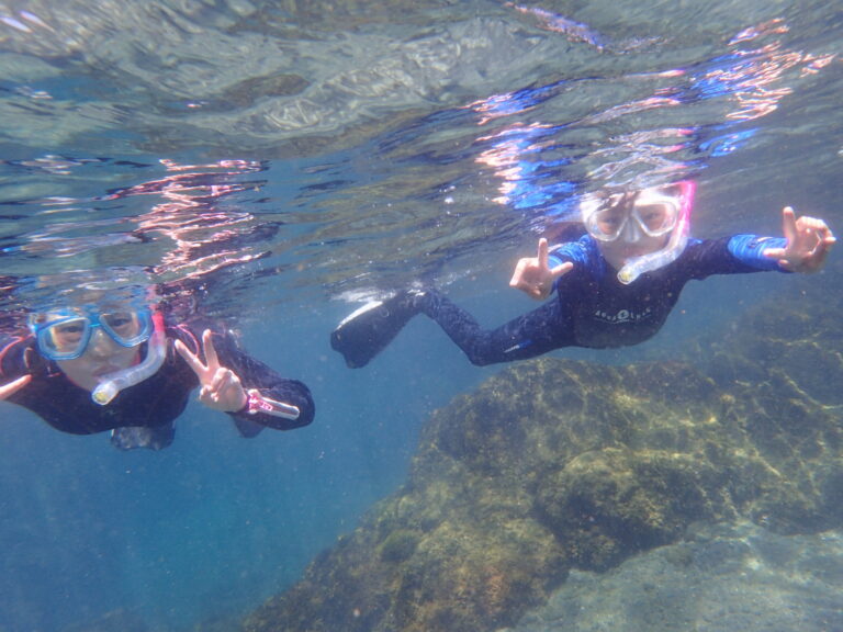 伊豆大島のダイビングと自然体験ツアー オレンジフィッシュ