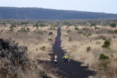 樹海から砂漠へ！２４０年前にタイムスリップ？”火山 VS 植物”のせめぎあいを楽しもう！<br>｜子供｜家族｜グループ｜お一人｜カップル｜団体｜