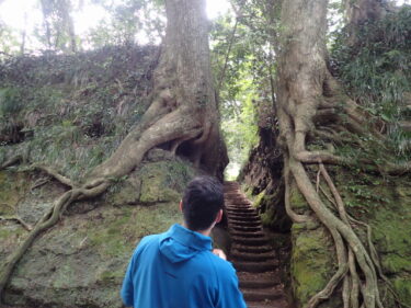 泉津の切通し＆神社巡り