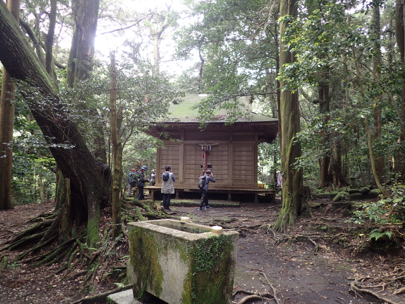 波治加麻神社