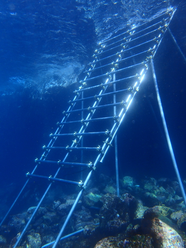 秋の浜ハシゴ