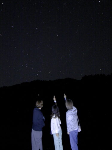 流れ星も見れた満天の星空観賞ツアー♪