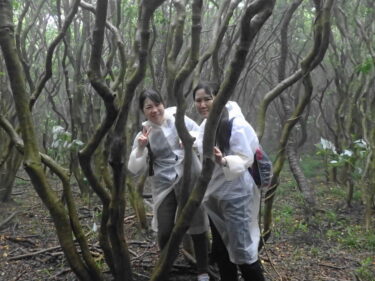 雨天ならではの神秘と貴重な強風体験？