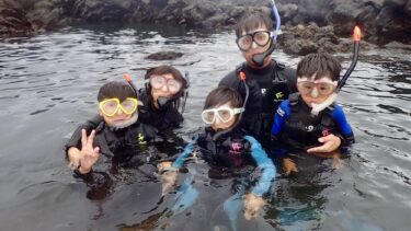 3兄弟で仲良くシュノーケル🐟