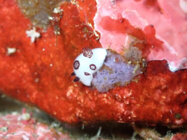 一転して穏やかな秋の浜です！
